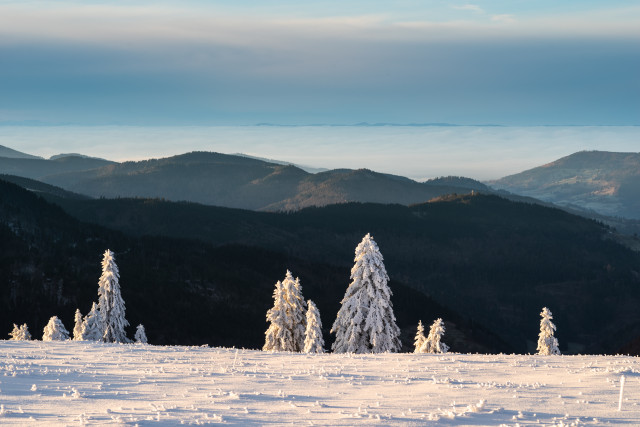 Wintermorgen, Feldberg