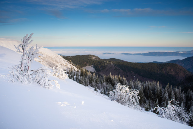 Blick vom Feldberg zum Dreisamtal