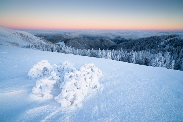 Wintermorgen auf dem Feldberg