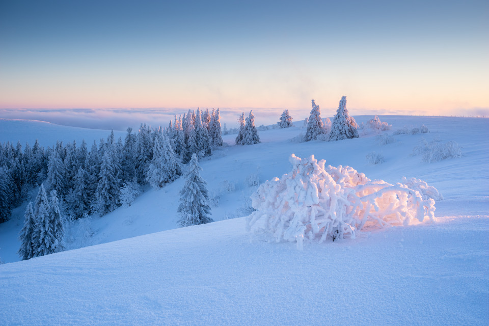 Wintermorgen auf dem Feldberg