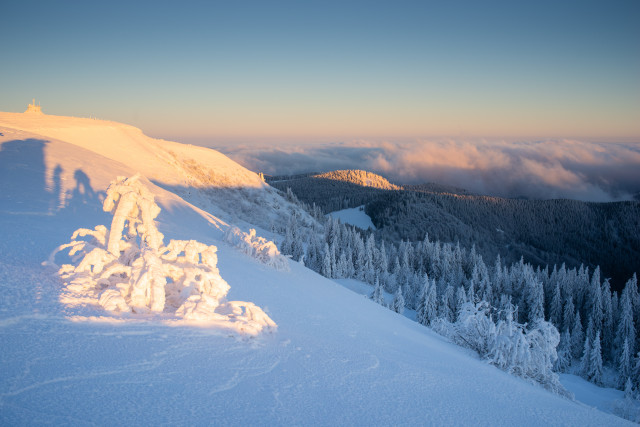 Wintermorgen auf dem Feldberg