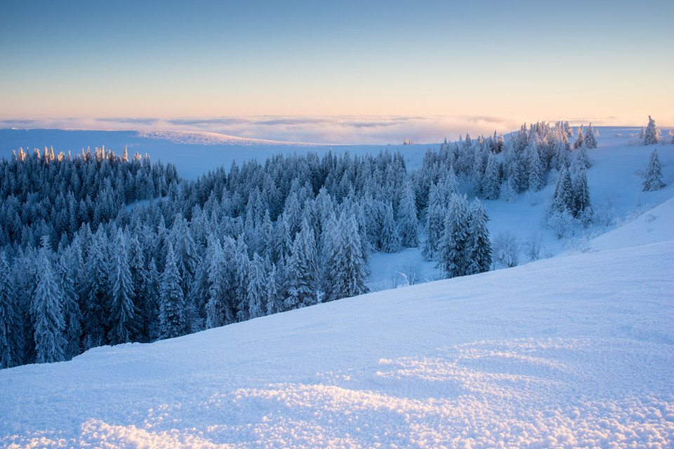 Wintermorgen auf dem Feldberg