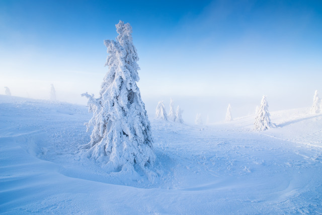 Wintermorgen auf dem Feldberg