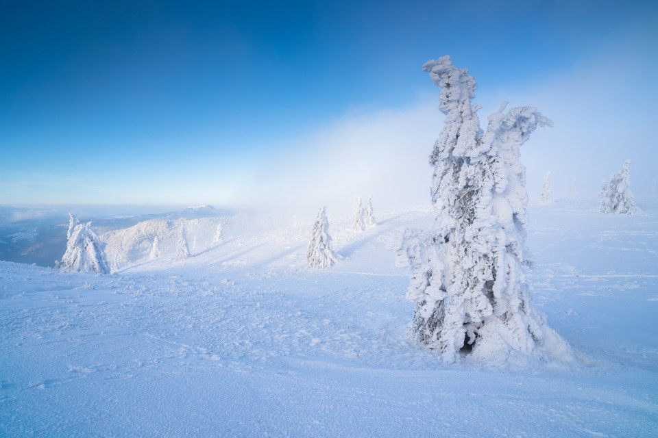 Wintermorgen auf dem Feldberg