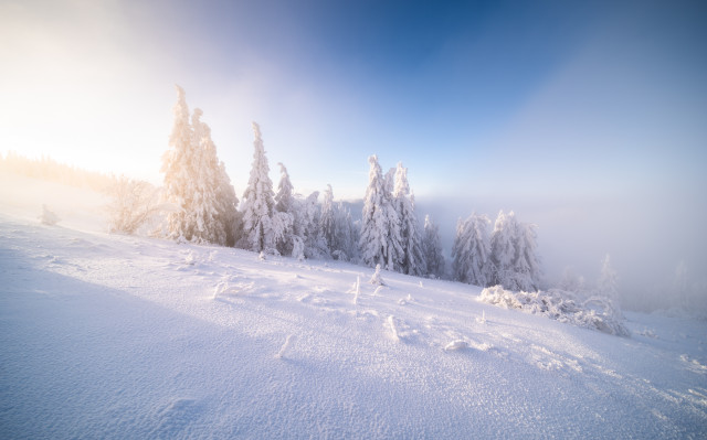 Wintermorgen auf dem Feldberg