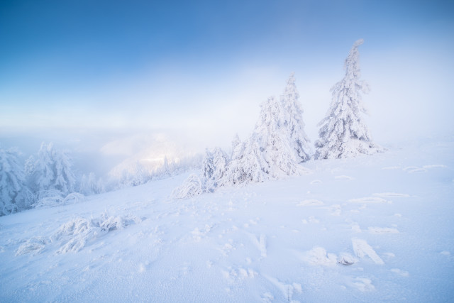 Wintermorgen auf dem Feldberg