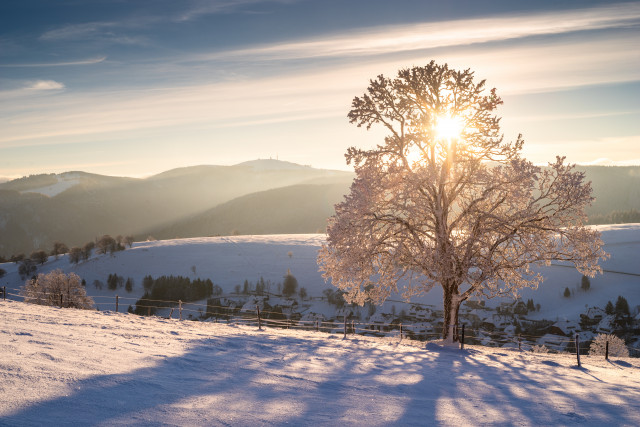 Wintermorgen bei Hofsgrund