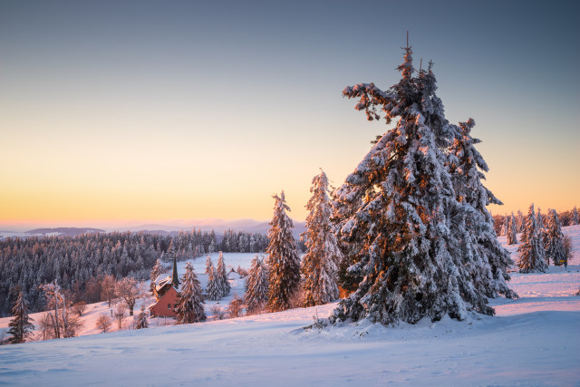 Winterlandschaft auf dem Kandel