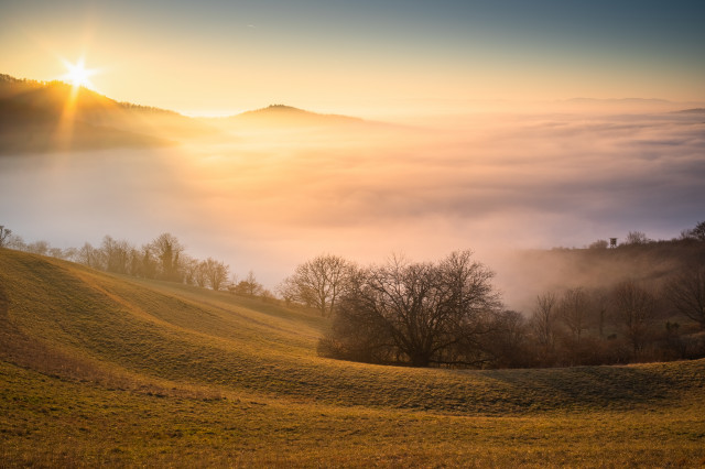 Sonnenuntergang über dem Nebelmeer im Kaiserstuhl