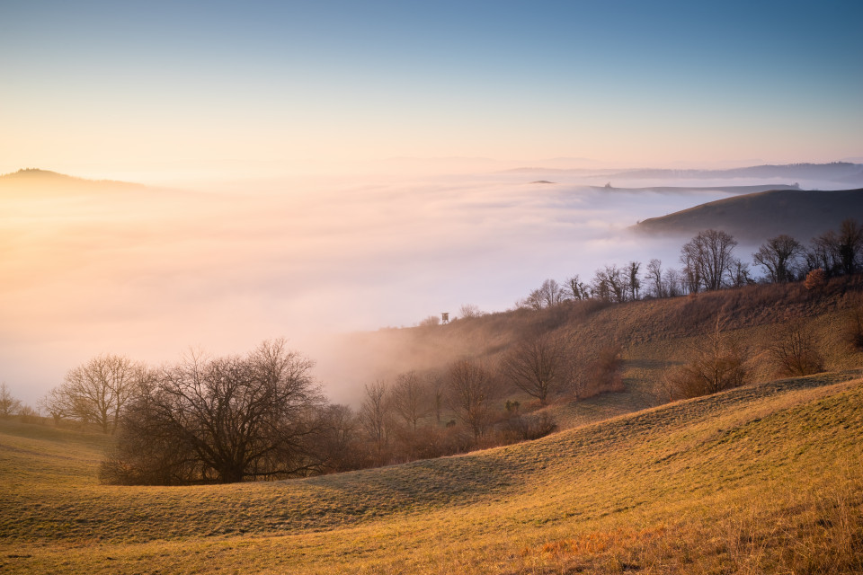 Nebelmeer im Kaiserstuhl