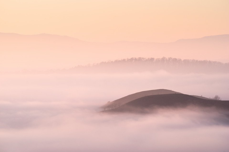 Nebelmeer im Kaiserstuhl