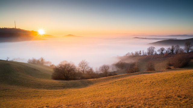 Sonnenuntergang über dem Nebelmeer im Kaiserstuhl