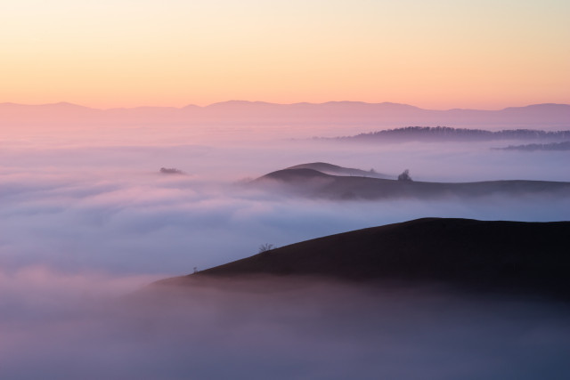 Nebelmeer im Kaiserstuhl