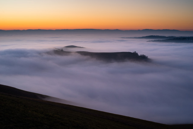 Nebelmeer im Kaiserstuhl