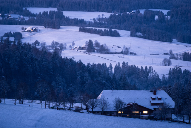 Morgendliche Hochschwarzwaldlandschaft mit Neuschnee