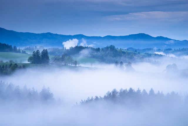 Abendliche Nebellandschaft im Hochschwarzwald