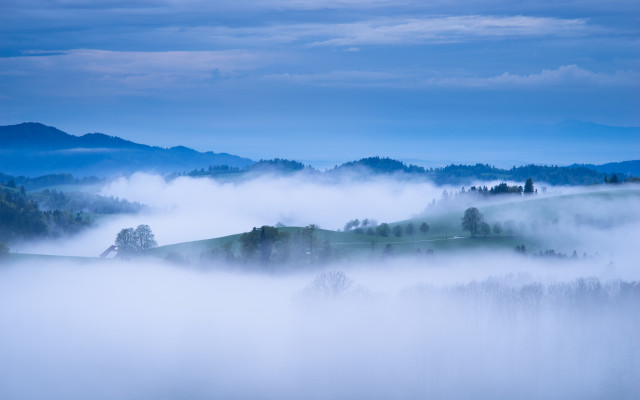 Abendliche Nebellandschaft im Hochschwarzwald