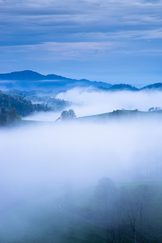 Abendliche Nebellandschaft im Hochschwarzwald