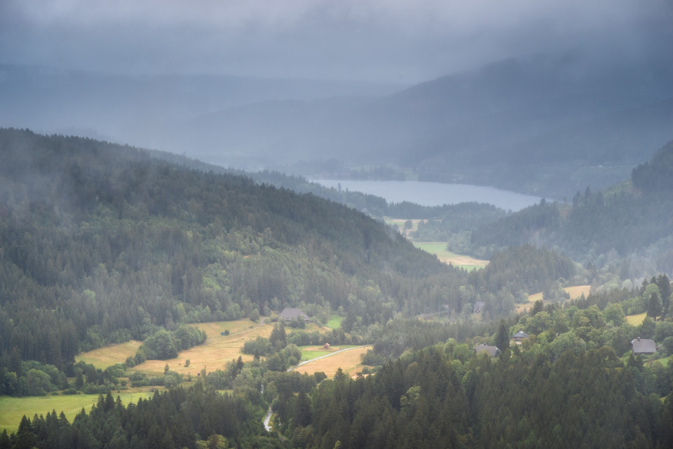 Blick zum Titisee an einem Regentag