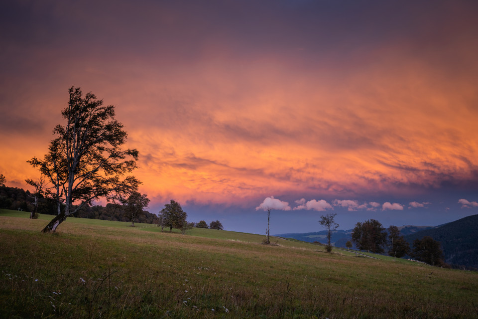 Abendrot am Schauinsland