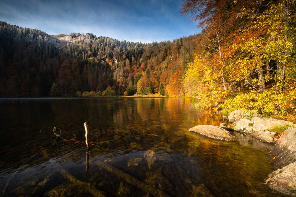 Herbststimmung am Feldsee