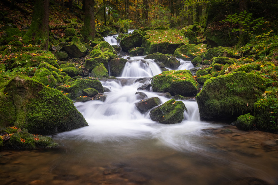 Teichschlucht im Herbst