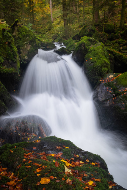 Teichschlucht im Herbst