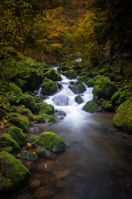 Teichschlucht im Herbst