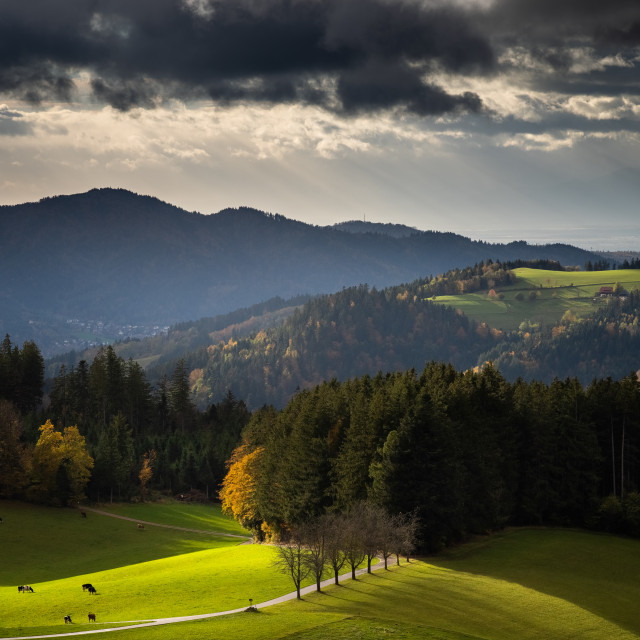 Blick zum Dreisamtal