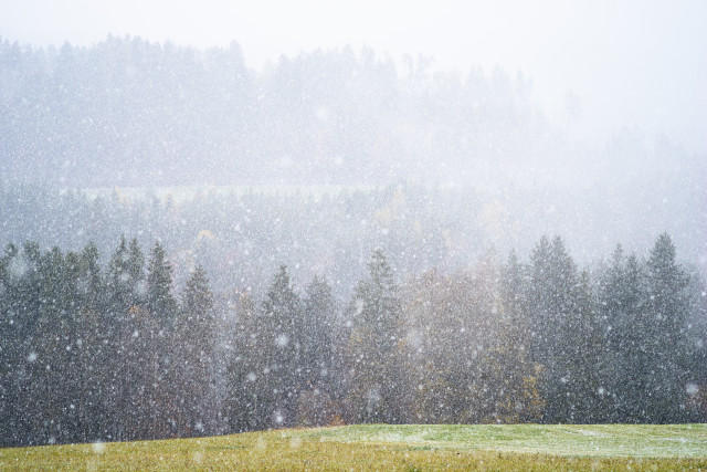 Erster Schneefall im Spätherbst