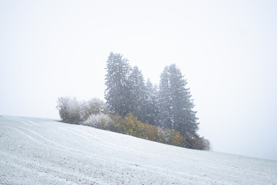 Erster Schneefall im Spätherbst