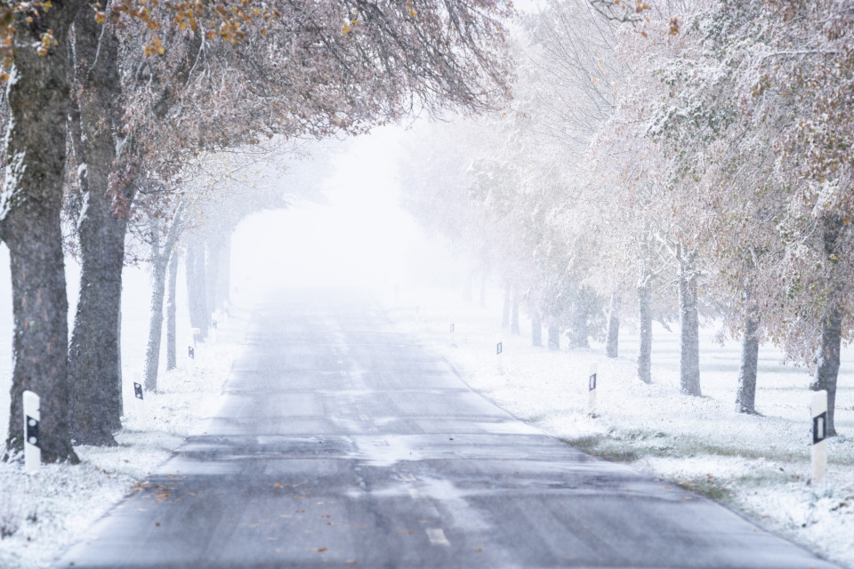 Allee im Schneefall