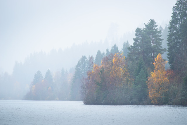 Schluchsee im Regen