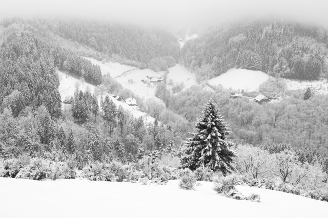 Aussicht vom Dreitälerblick