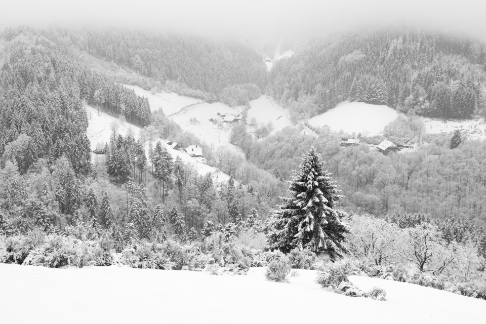 Aussicht vom Dreitälerblick