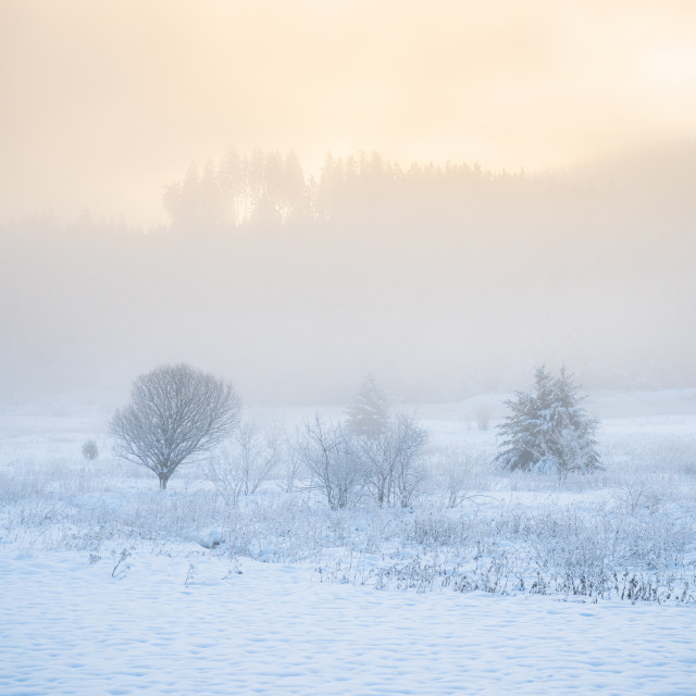 Winterliches Schwarzenbach-Moor