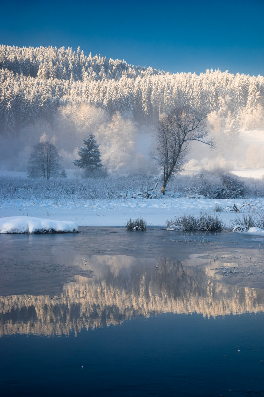 Winterliches Schwarzenbach-Moor