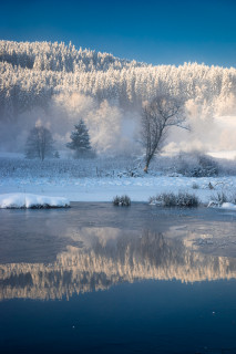 Winterliches Schwarzenbach-Moor