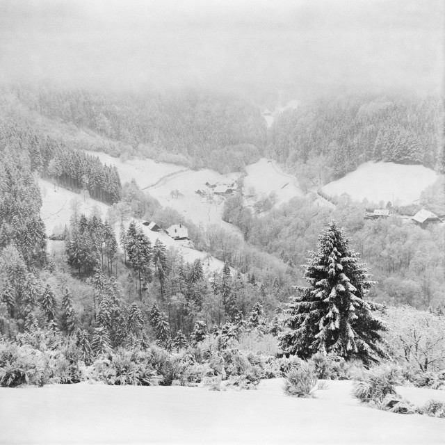 Aussicht vom Dreitälerblick Richtung Zweribach