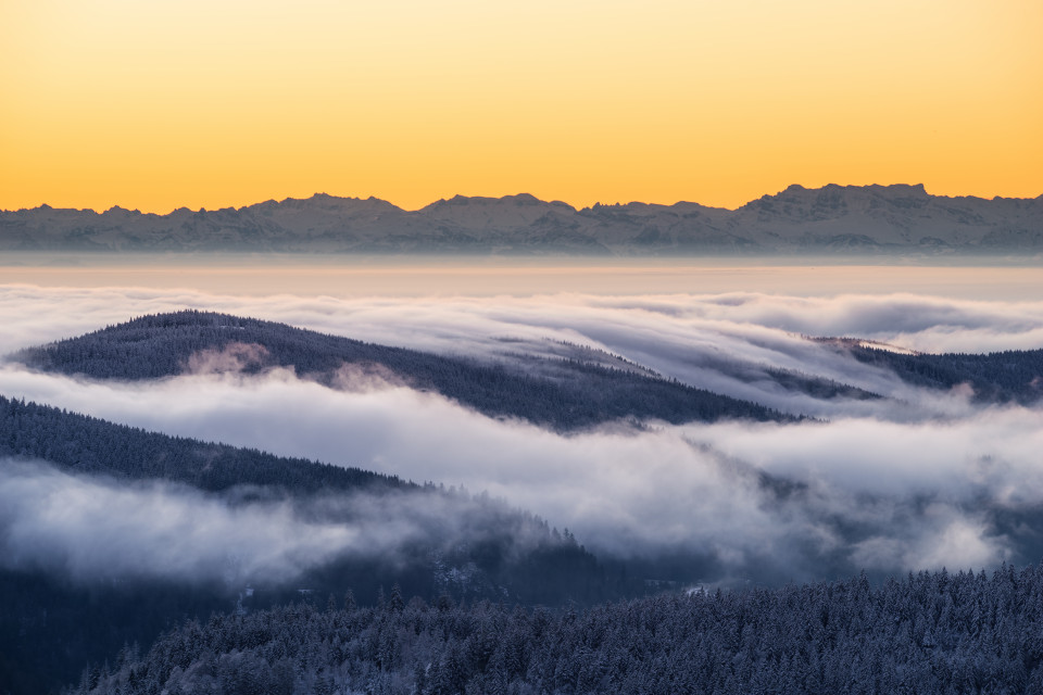 Inversion mit Alpenblick vom Feldberg