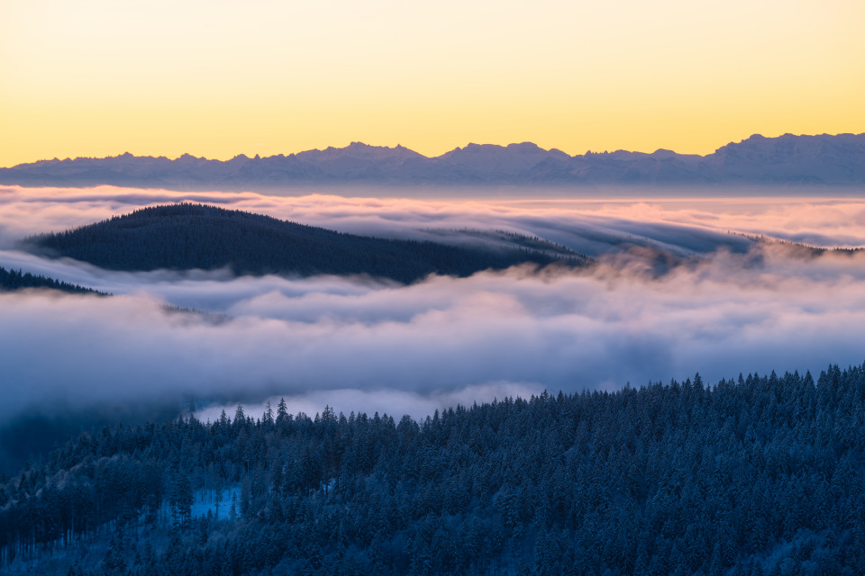 Inversion mit Alpenblick vom Feldberg