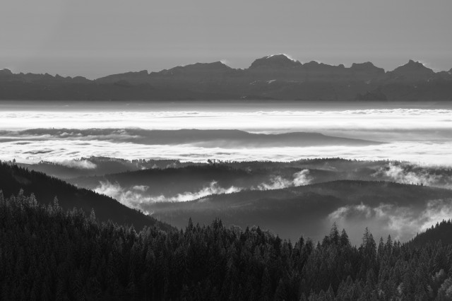 Inversion mit Alpenblick vom Feldberg