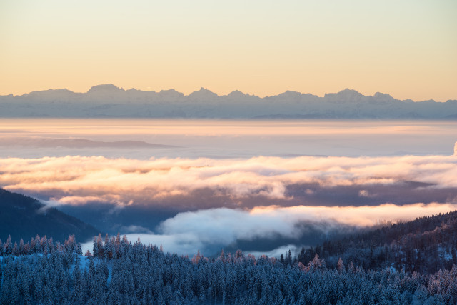 Inversion mit Alpenblick vom Feldberg