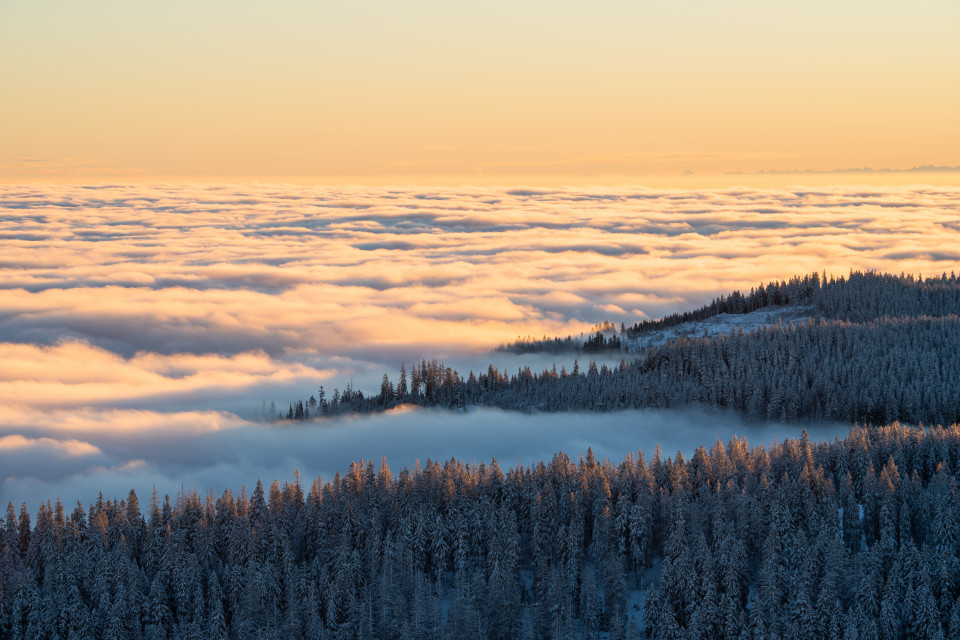 Aussicht vom Seebuck über dem Nebelmeer