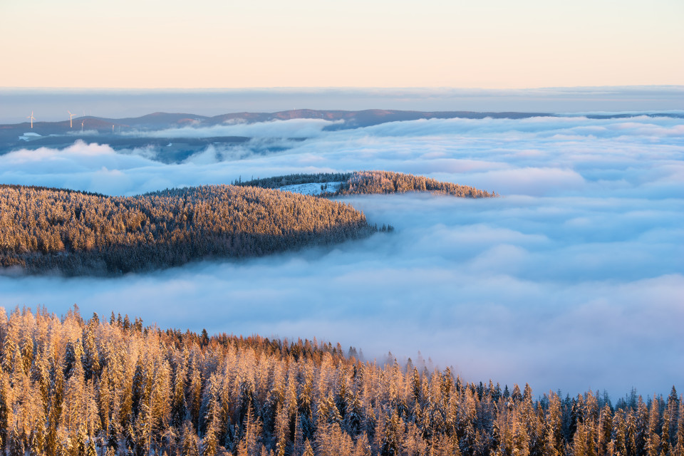 Aussicht vom Seebuck über dem Nebelmeer