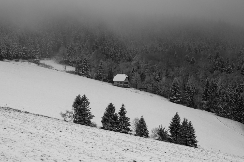 Winter am Haldenköpfle