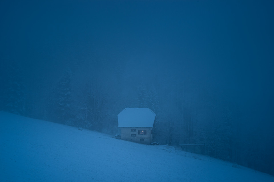 Winter am Haldenköpfle