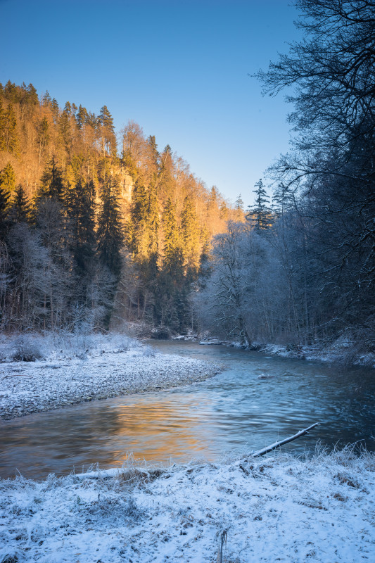 Winter in der Wutachschlucht