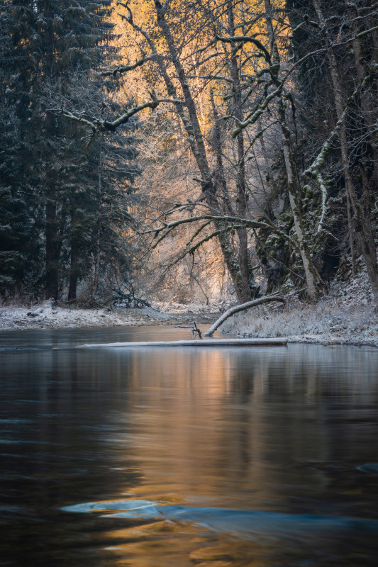 Winter in der Wutachschlucht