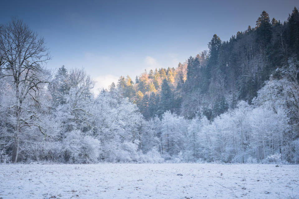 Winter in der Wutachschlucht